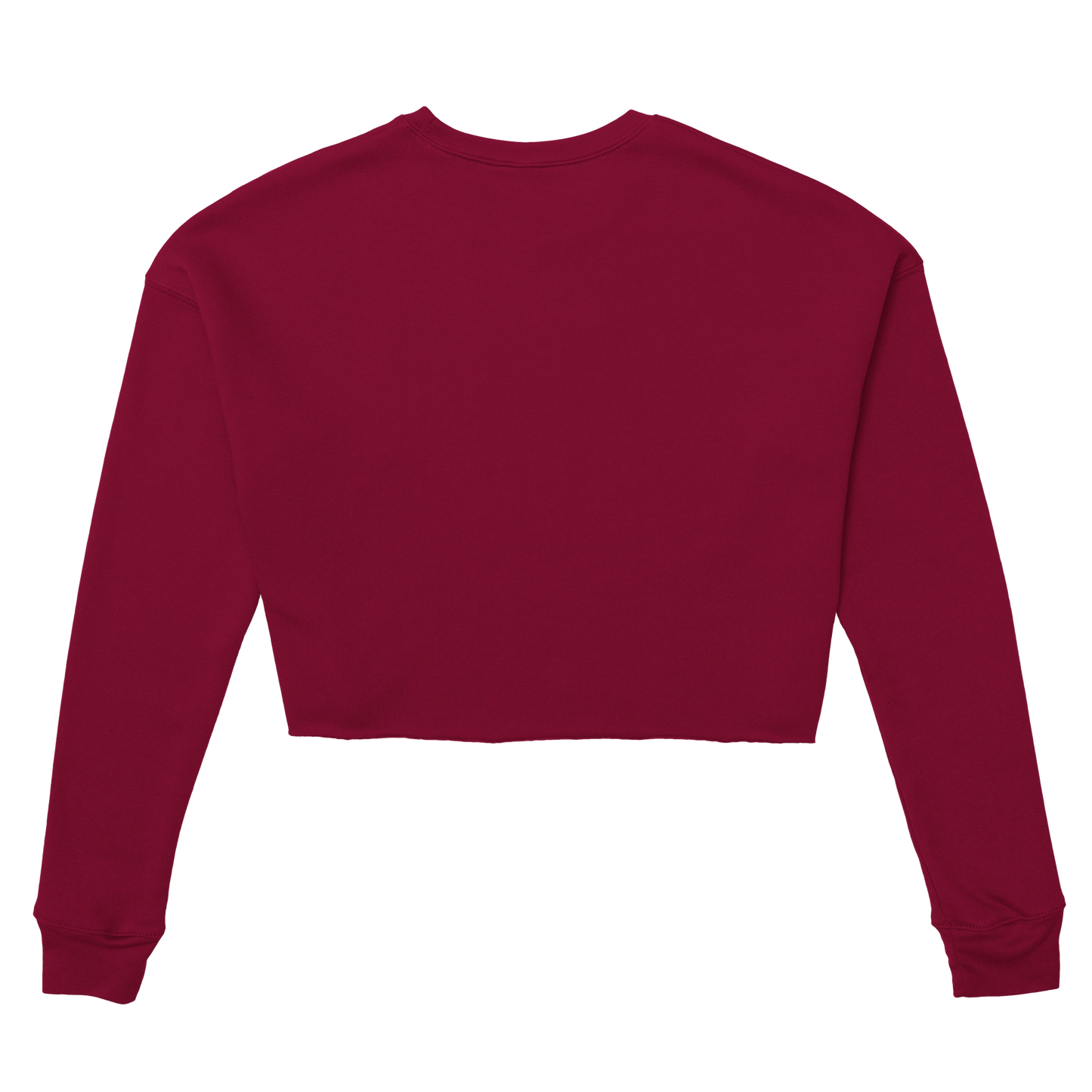 Back view of Chimayoi "Bonjour bébé!" cropped sweatshirt in Brick