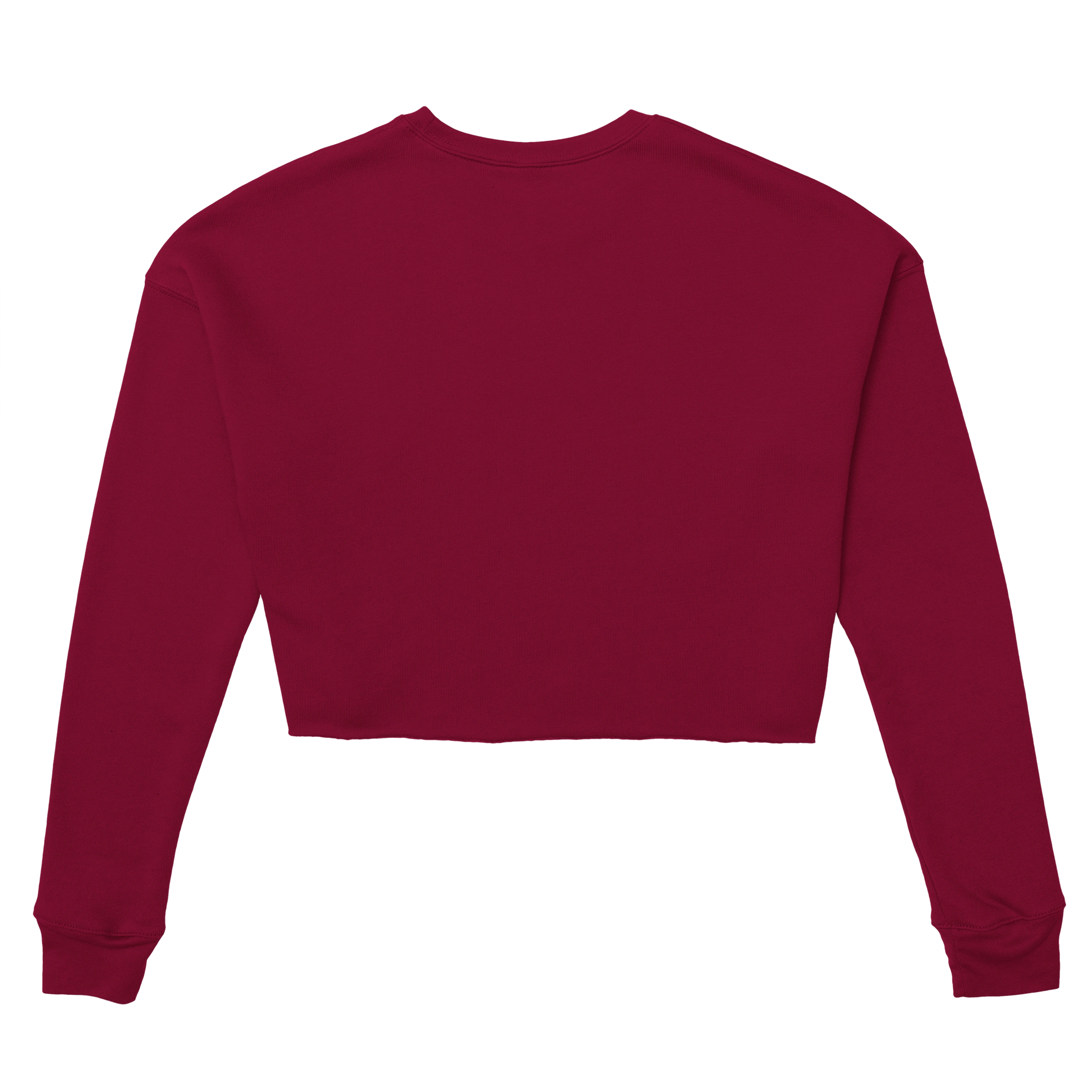 Back view of Chimayoi "Bonjour bébé!" cropped sweatshirt in Brick