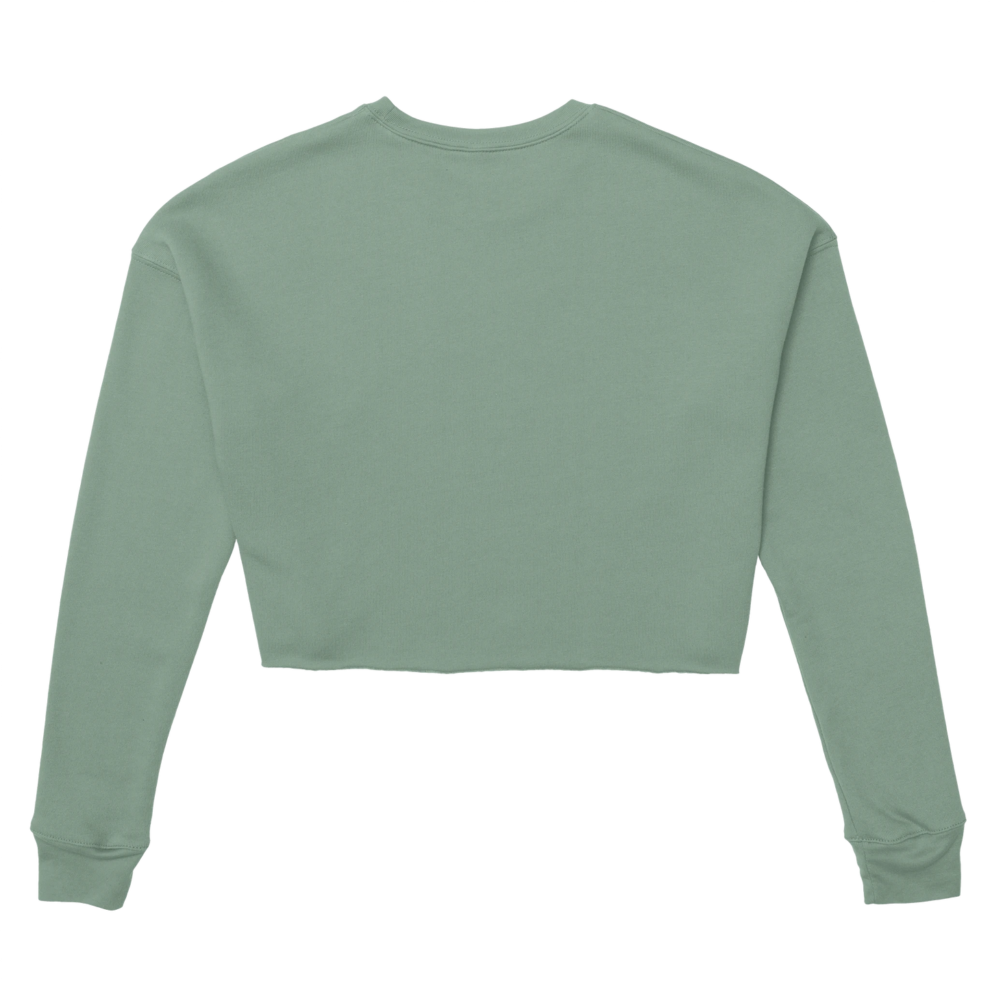 Back view of Chimayoi "Bonjour bébé!" cropped sweatshirt in Dusty Blue